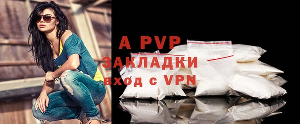 спайс Бородино
