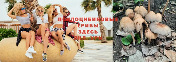 спайс Бородино