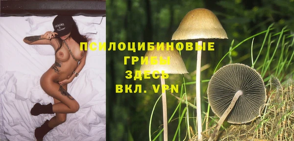 MESCALINE Богданович