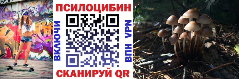 Купить где  Красноперекопск  Псилоцибиновые грибы Cubensis 